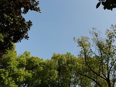 -鹿亭中村