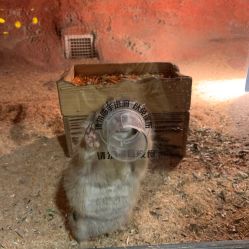 -酷嗒动物文化乐园(cutezoo西溪乐天城店)