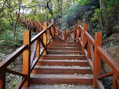-大岭沟猕猴桃谷风景区