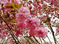 -白沙门生态公园