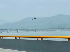 -钱塘江大桥