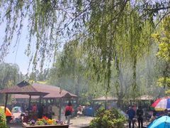 -杨柳青庄园