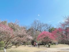 -杭州植物园