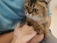 -共舞时光猫咖·狗咖(新街口店)