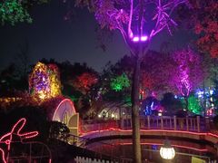 -南宫五洲植物乐园