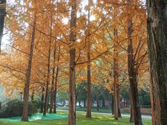 -唐城墙遗址公园