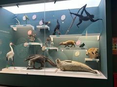 -国家自然博物馆