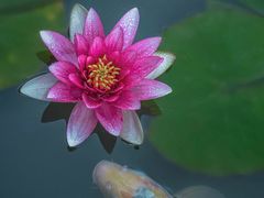 -国家植物园南园