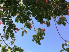 -鸿山公园
