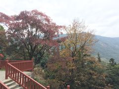 -广州市石门国家森林公园