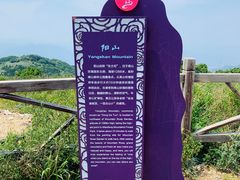 -阳台山自然风景区