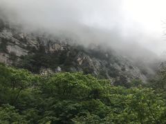 -青峰峡国家森林公园