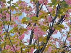 -梅溪湖城市岛