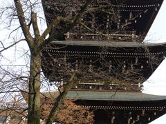 -医王山·飞騨国分寺