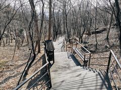-沂蒙山旅游区云蒙景区(蒙山国家森林公园)