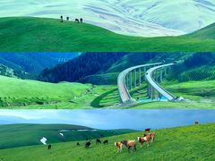 -赛里木湖风景名胜区