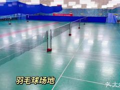 -帕拉泽羽毛球·篮球·乒乓球·健身