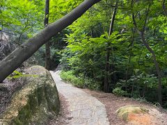 -草庵摩尼教遗址公园