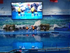 -多彩贵州城极地海洋世界