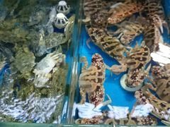 -清水湾3号(东方小周海鲜店)