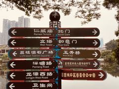 -荔湾湖公园