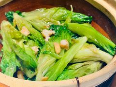 -新雅(丰盛里店)