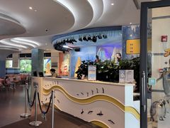 -帝企鹅自助餐厅•儿童岛•真企鹅(长隆企鹅酒店)