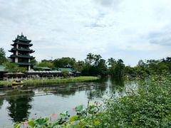 -桂湖森林公园
