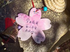 -北京欢乐谷