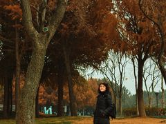 -贡湖湾湿地公园