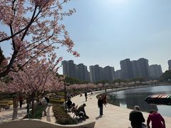 -新江湾城公园