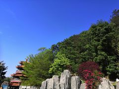 -神光山国家森林公园