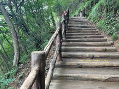 -塔云山