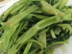 -新陶陶酒家