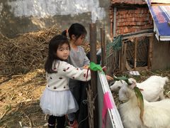 -乡乐园蟹庄·阳澄湖农家乐