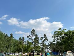 -佛手湖郊野公园