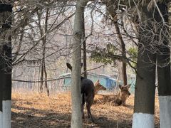-苏州太湖国家湿地公园