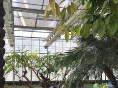 -南宫五洲植物乐园