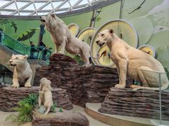 -陕西自然博物馆