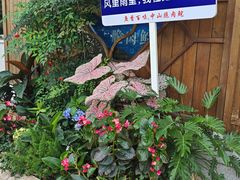 -红日饭店(裕隆三路店)