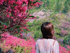 -木兰云雾山