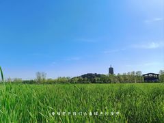 -永定河休闲森林公园