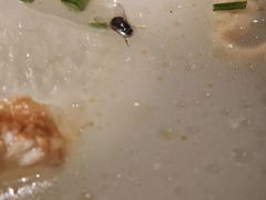 -新概念来凤鱼(璧山店)