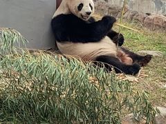 -杭州野生动物世界