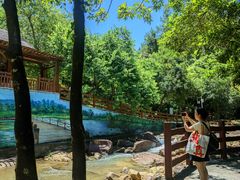 -广州白江湖森林公园