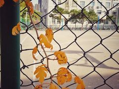 -东北大学(南湖校区)
