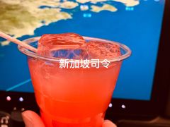 -新加坡航空公司(ION)