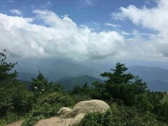-王顺山国家森林公园