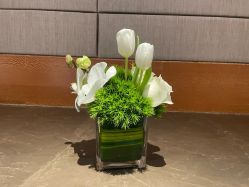 点击看大图 -金茂深圳JW万豪酒店·宴会厅