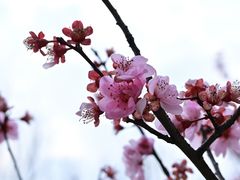 -堤角公园
